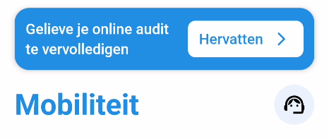 NL_audit hervatten.png