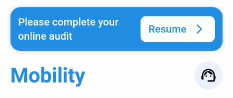 EN_audit hervatten.png